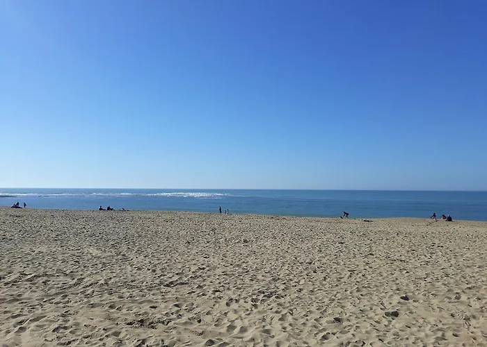 100m De La Des Mouettes, Pour 4 *