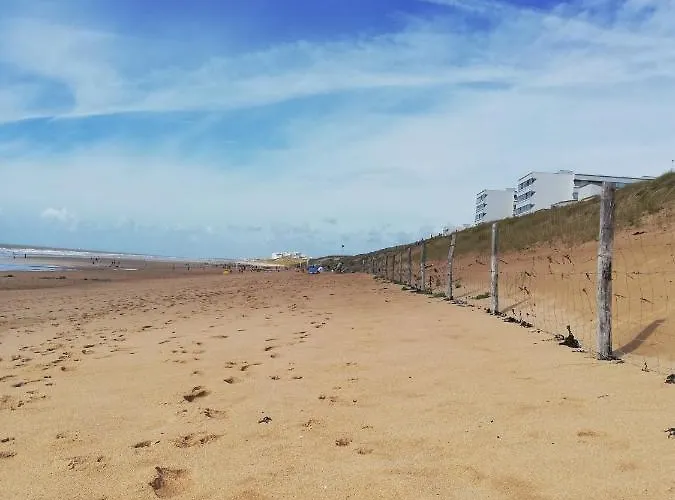 100m De La Des Mouettes, Pour 4 *