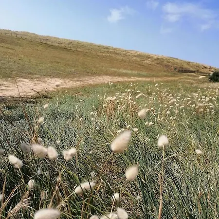 Apartamento 100m De La Des Mouettes, Pour 4 La Parée Preneau