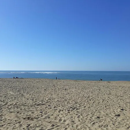 100m De La Des Mouettes, Pour 4 *